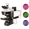 میکروسکوپ‌های تصویربرداری لیزری رامان